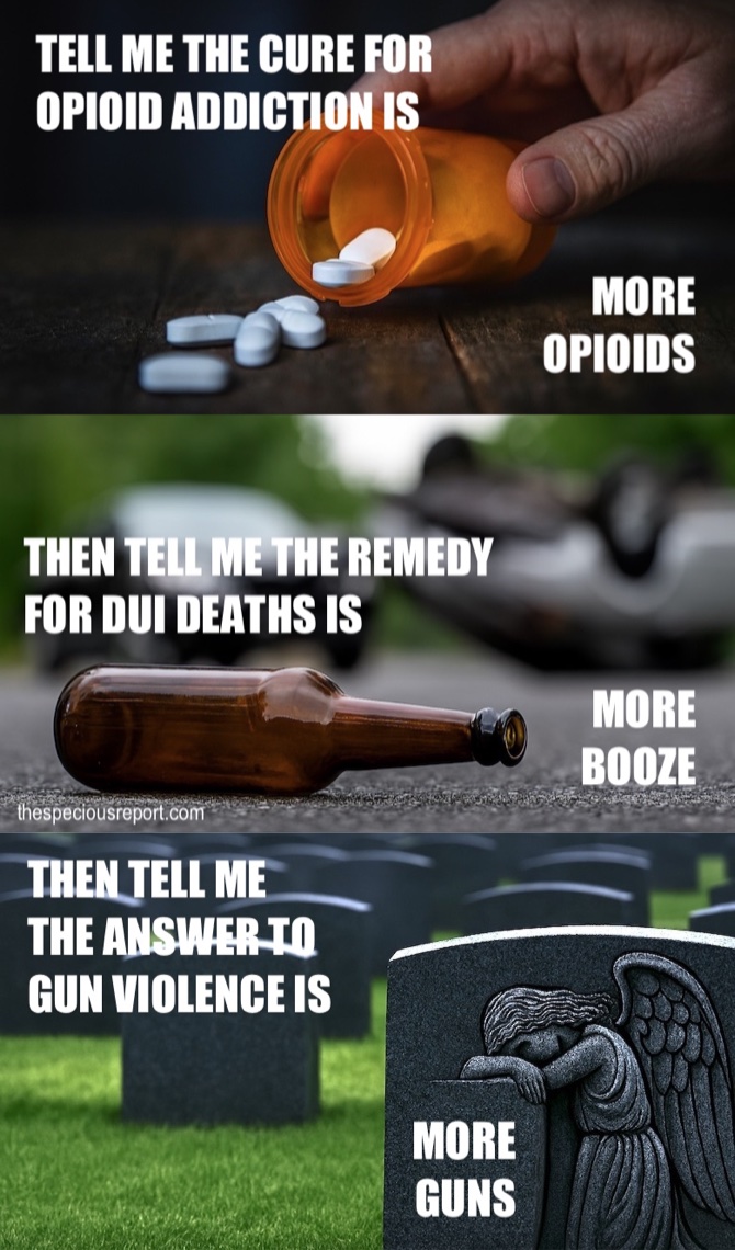 Gun Deaths Meme