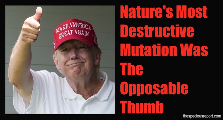 Trump Thumbs Up Meme